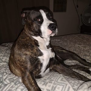 Meet your Posher, Shawna